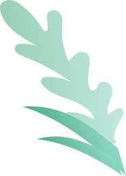 saaspik leaf